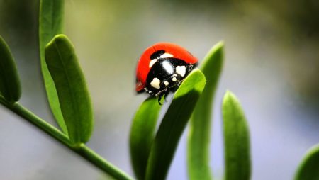 Check out These Effective (and DIY) Ways to Rid Your Clothes of Moths for Good