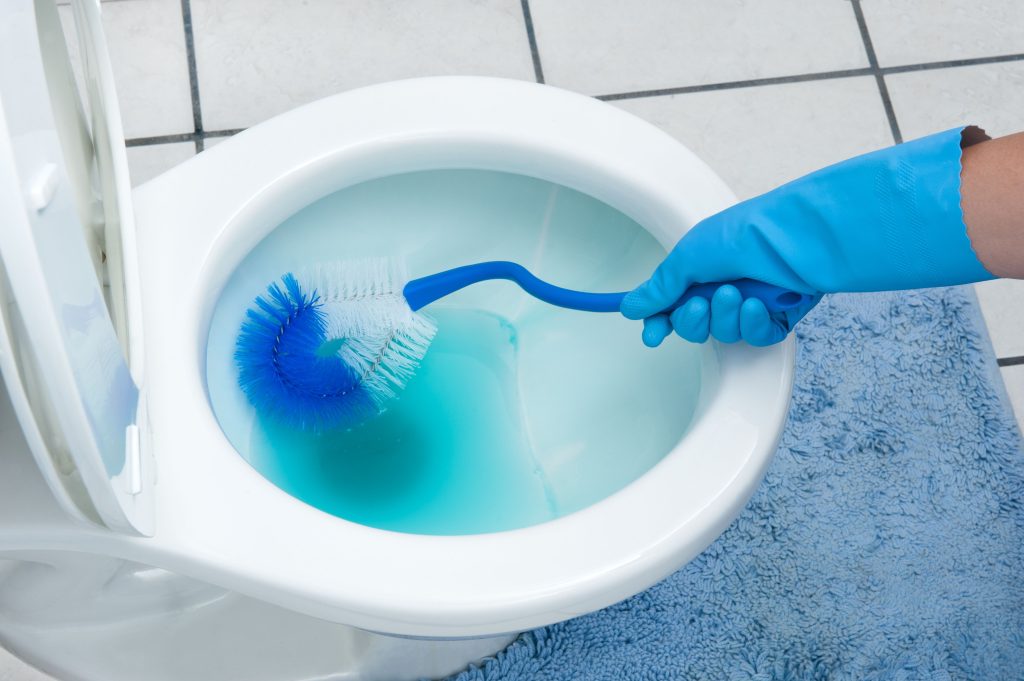 Experts Reveal the Best Products to Clean Your Toilet the Right Way